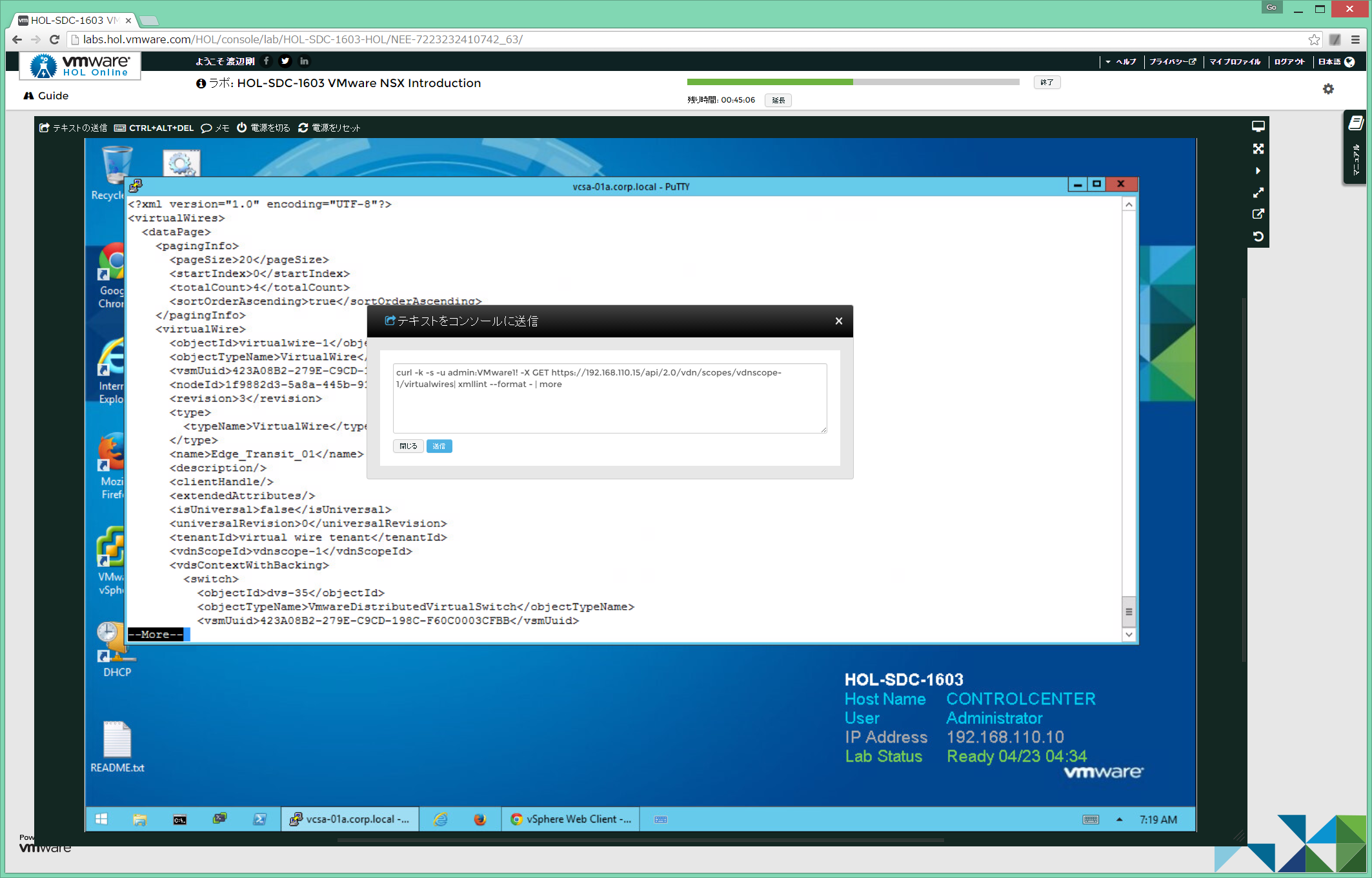 nsx-api-02.png