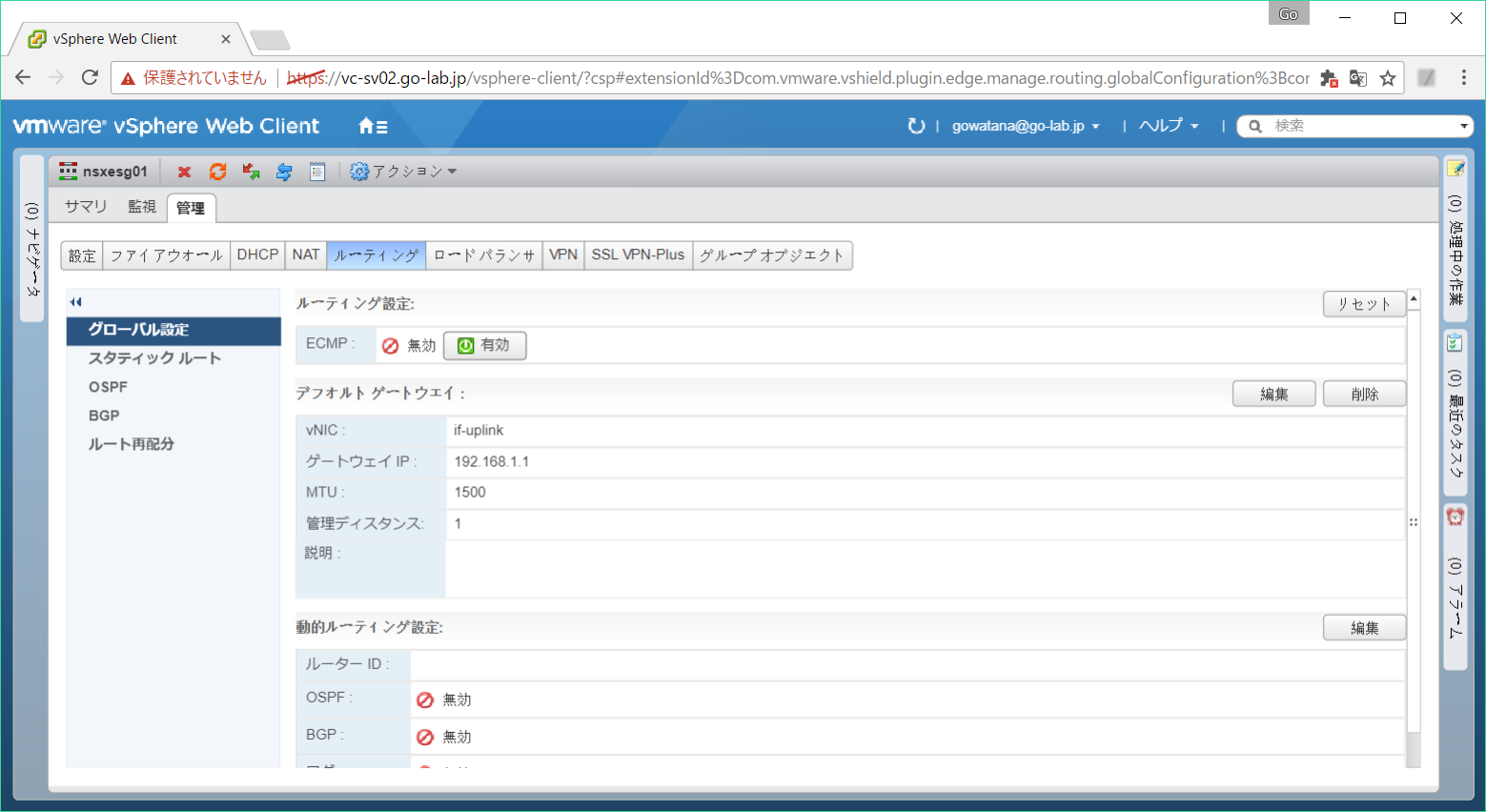 nsx-edge-rt-02.png