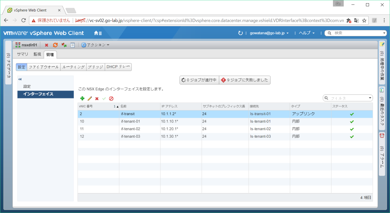 nsx-edge-rt-04.png