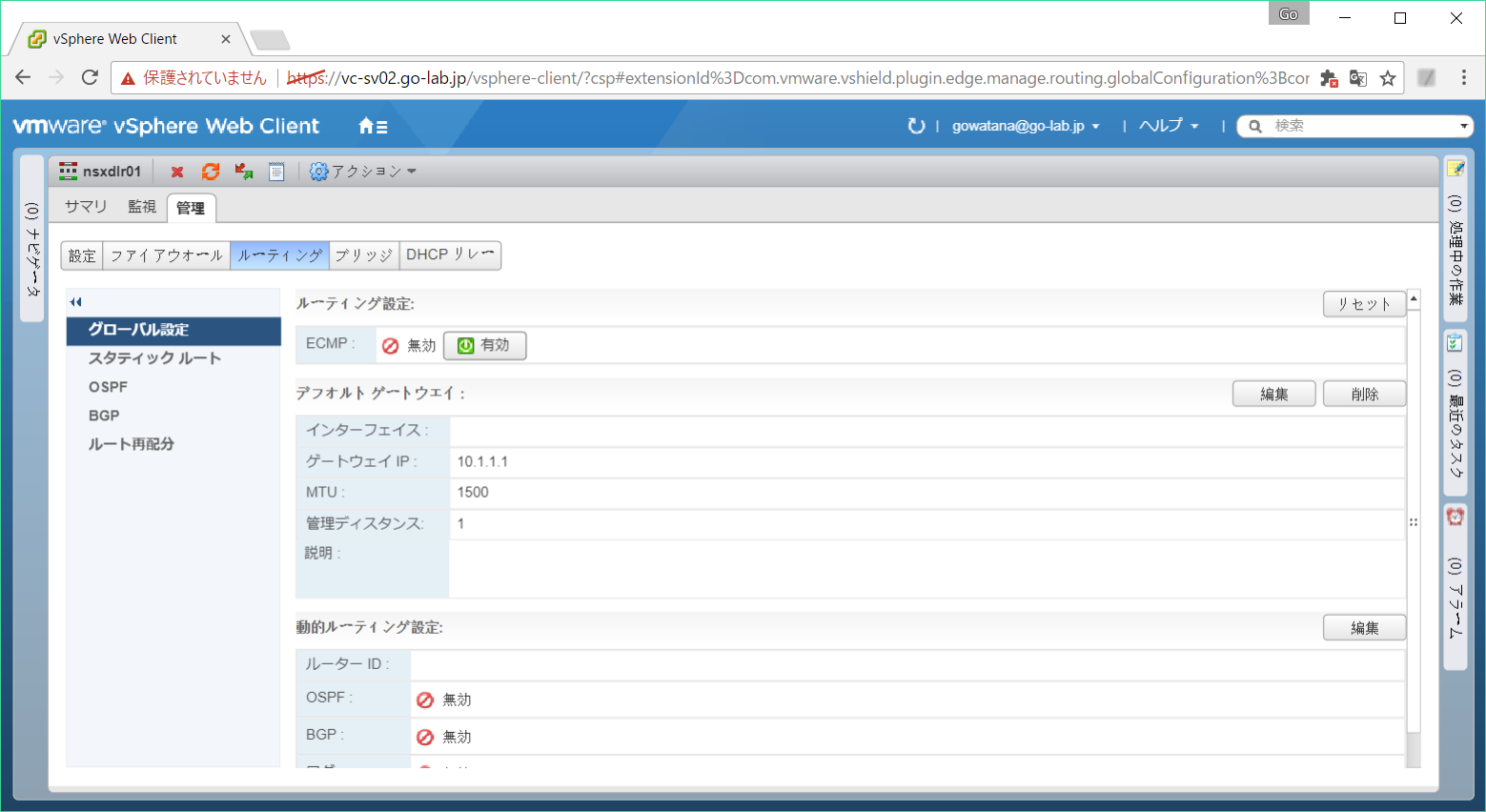 nsx-edge-rt-05.png