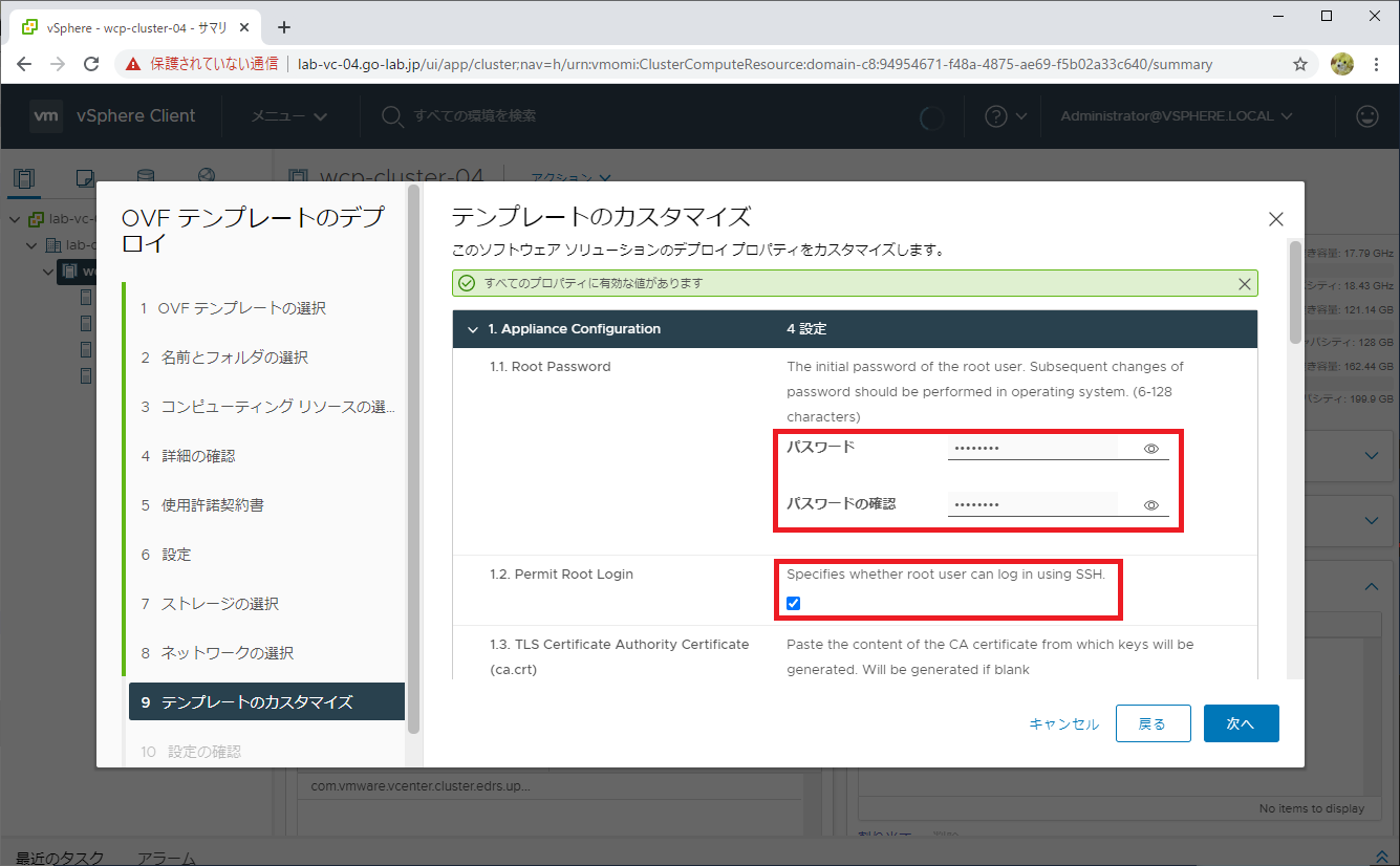 tanzu-basic-02-09.png