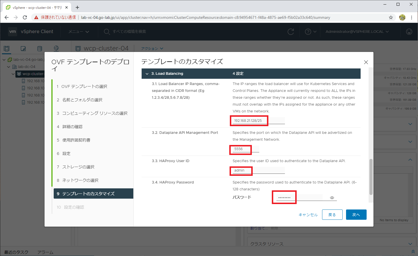 tanzu-basic-02-12.png