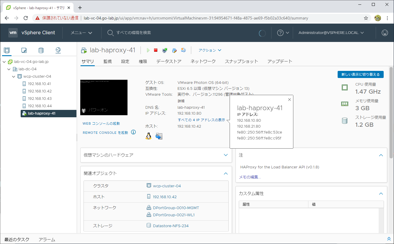 tanzu-basic-02-18.png