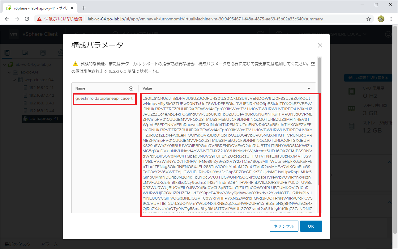 tanzu-basic-02-21.png